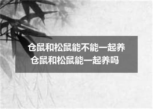 仓鼠和松鼠能不能一起养 仓鼠和松鼠能一起养吗