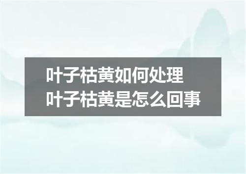 叶子枯黄如何处理 叶子枯黄是怎么回事