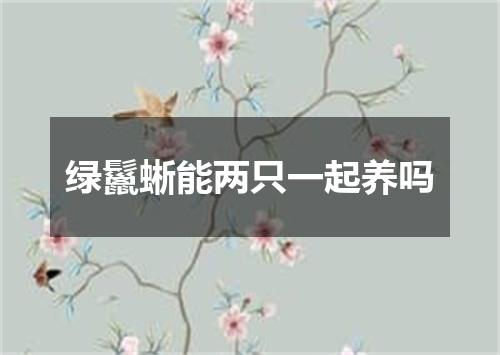绿鬣蜥能两只一起养吗