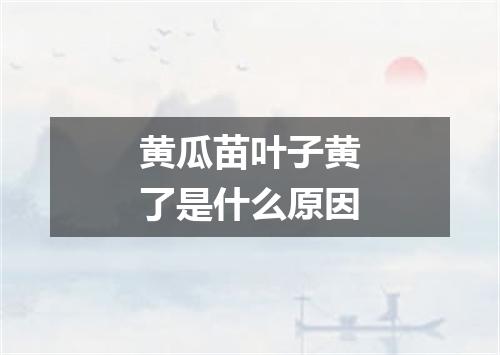 黄瓜苗叶子黄了是什么原因