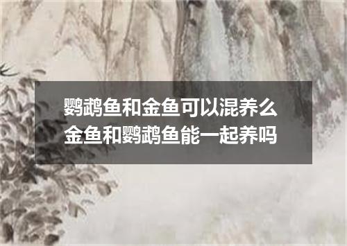 鹦鹉鱼和金鱼可以混养么 金鱼和鹦鹉鱼能一起养吗