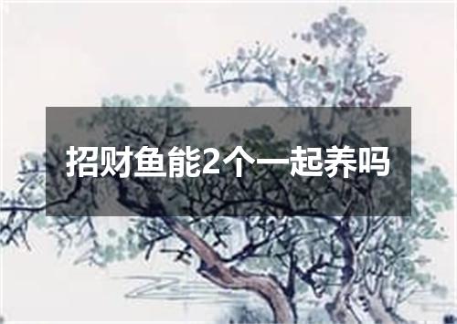 招财鱼能2个一起养吗