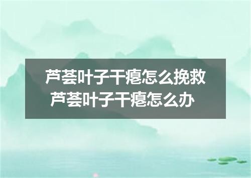 芦荟叶子干瘪怎么挽救 芦荟叶子干瘪怎么办