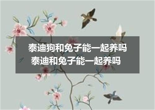 泰迪狗和兔子能一起养吗 泰迪和兔子能一起养吗