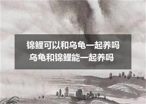 锦鲤可以和乌龟一起养吗 乌龟和锦鲤能一起养吗