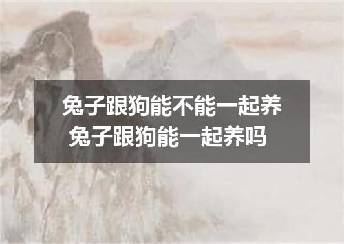 兔子跟狗能不能一起养 兔子跟狗能一起养吗