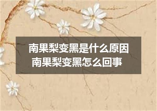 南果梨变黑是什么原因 南果梨变黑怎么回事