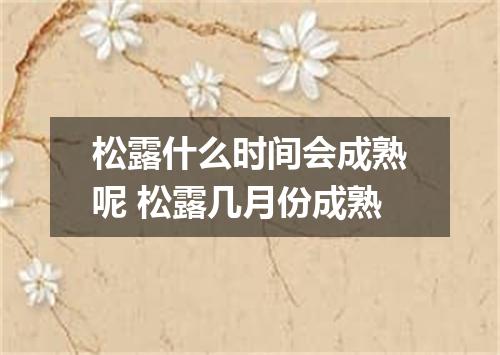 松露什么时间会成熟呢 松露几月份成熟