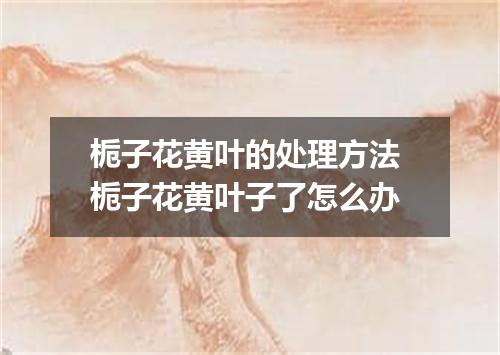 栀子花黄叶的处理方法 栀子花黄叶子了怎么办