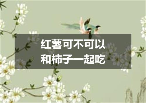 红薯可不可以和柿子一起吃