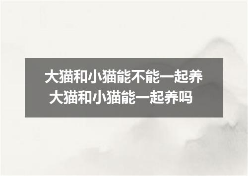 大猫和小猫能不能一起养 大猫和小猫能一起养吗