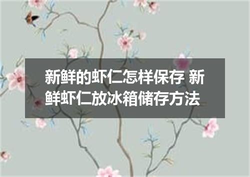 新鲜的虾仁怎样保存 新鲜虾仁放冰箱储存方法