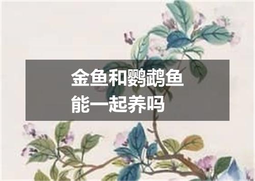 金鱼和鹦鹉鱼能一起养吗
