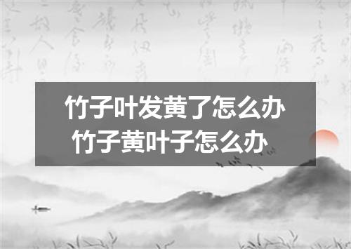 竹子叶发黄了怎么办 竹子黄叶子怎么办