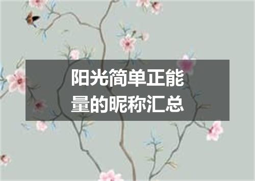 阳光简单正能量的昵称汇总