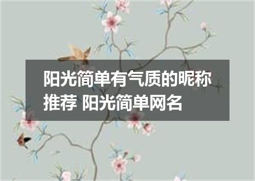 阳光简单有气质的昵称推荐 阳光简单网名