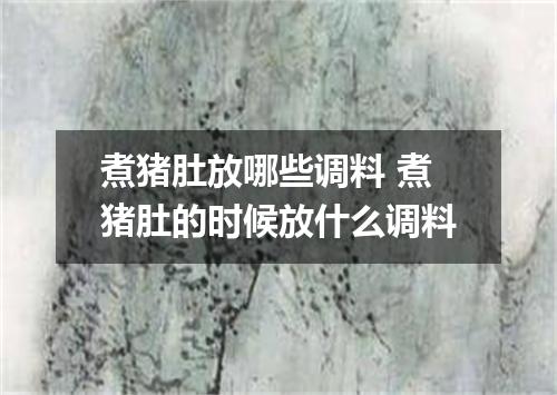 煮猪肚放哪些调料 煮猪肚的时候放什么调料