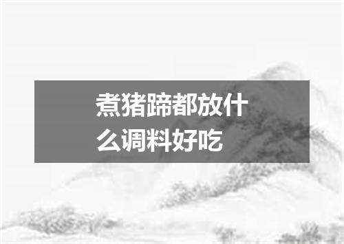 煮猪蹄都放什么调料好吃