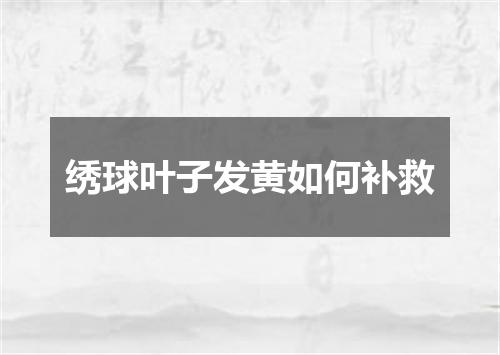 绣球叶子发黄如何补救