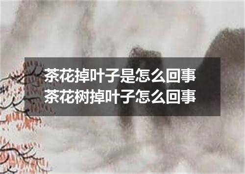 茶花掉叶子是怎么回事 茶花树掉叶子怎么回事