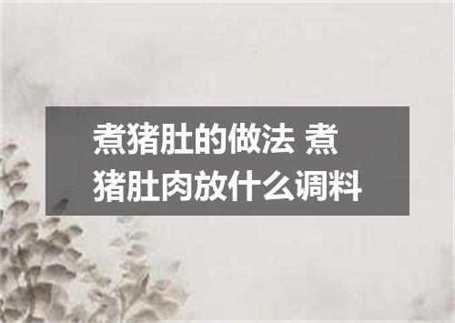 煮猪肚的做法 煮猪肚肉放什么调料