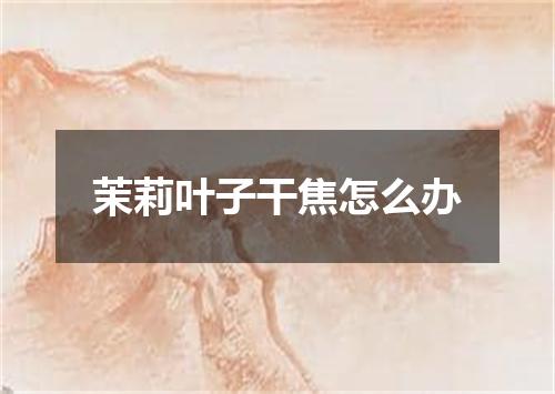 茉莉叶子干焦怎么办