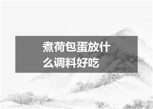 煮荷包蛋放什么调料好吃