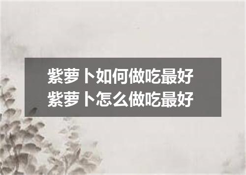 紫萝卜如何做吃最好 紫萝卜怎么做吃最好