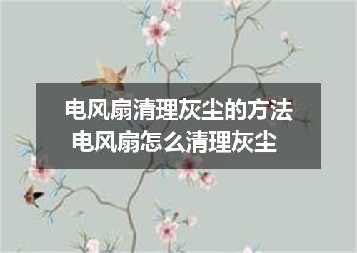 电风扇清理灰尘的方法 电风扇怎么清理灰尘