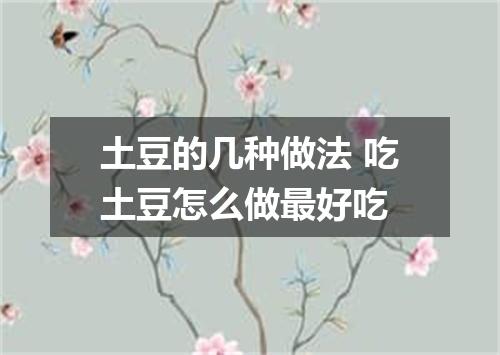 土豆的几种做法 吃土豆怎么做最好吃