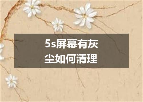 5s屏幕有灰尘如何清理