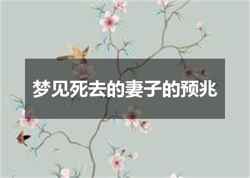 梦见死去的妻子的预兆