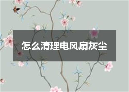 怎么清理电风扇灰尘