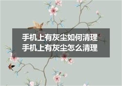 手机上有灰尘如何清理 手机上有灰尘怎么清理