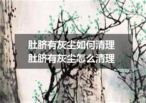 肚脐有灰尘如何清理 肚脐有灰尘怎么清理