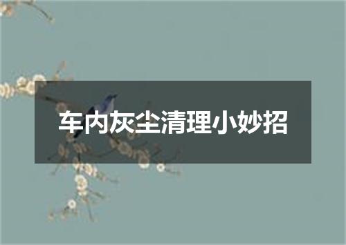 车内灰尘清理小妙招