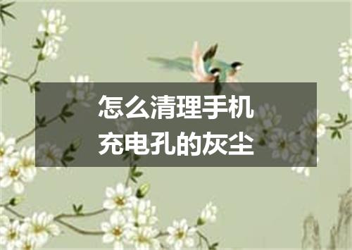 怎么清理手机充电孔的灰尘