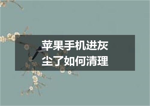 苹果手机进灰尘了如何清理