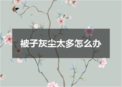 被子灰尘太多怎么办