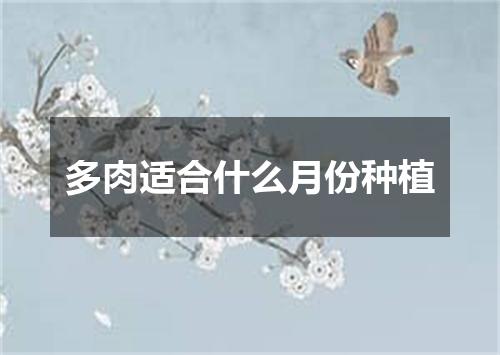 多肉适合什么月份种植