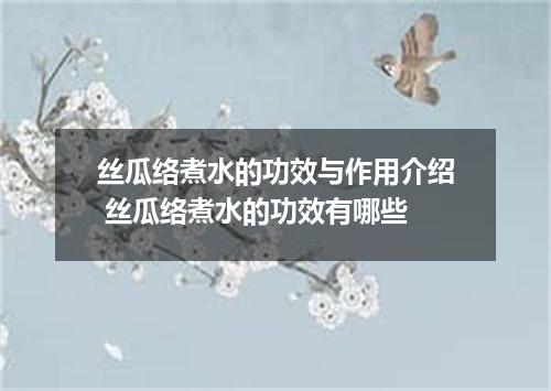 丝瓜络煮水的功效与作用介绍 丝瓜络煮水的功效有哪些