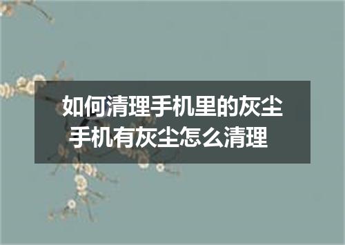 如何清理手机里的灰尘 手机有灰尘怎么清理