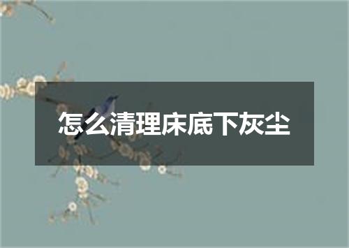 怎么清理床底下灰尘