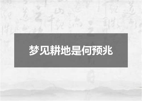 梦见耕地是何预兆