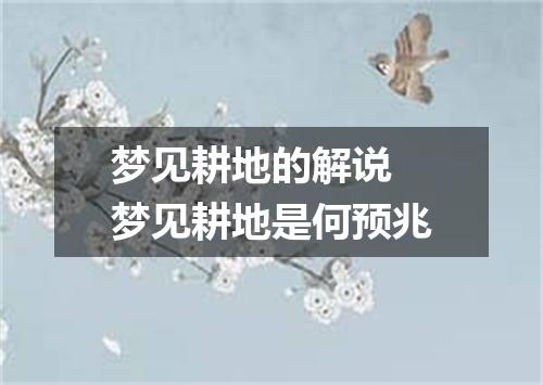 梦见耕地的解说 梦见耕地是何预兆