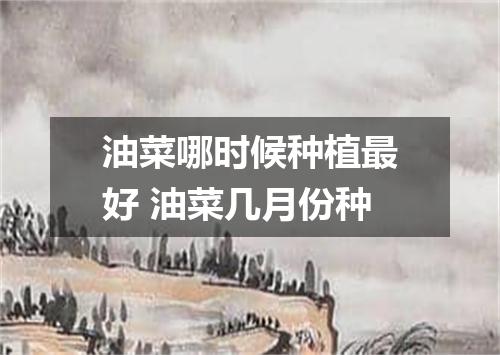 油菜哪时候种植最好 油菜几月份种