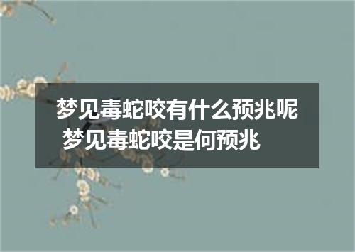 梦见毒蛇咬有什么预兆呢 梦见毒蛇咬是何预兆
