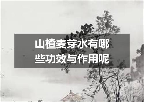 山楂麦芽水有哪些功效与作用呢