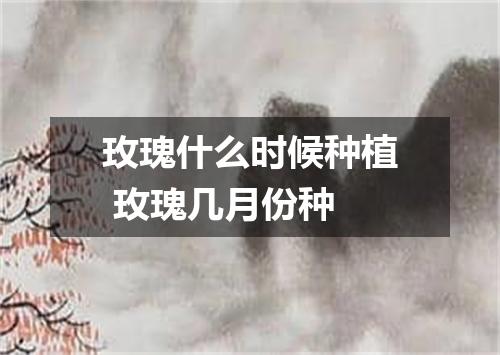 玫瑰什么时候种植 玫瑰几月份种