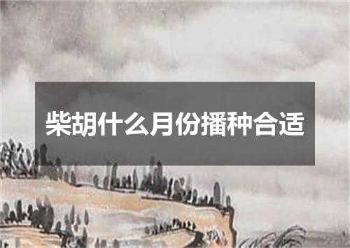 柴胡什么月份播种合适